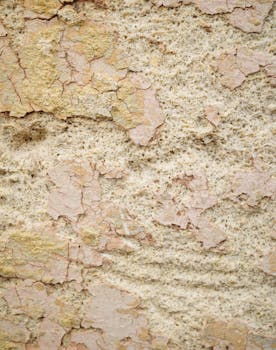 線上娛樂城遊戲