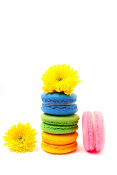 線上娛樂城遊戲