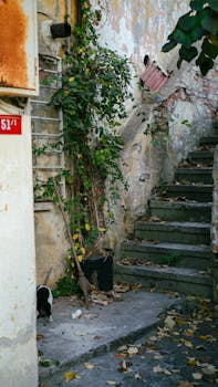 線上娛樂城遊戲