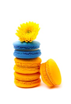 線上娛樂城遊戲