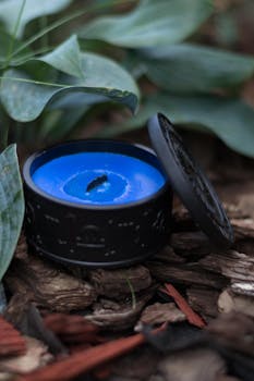 線上娛樂城遊戲