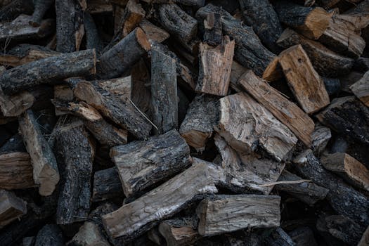 線上娛樂城遊戲