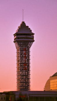 線上娛樂城遊戲