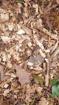 線上娛樂城遊戲