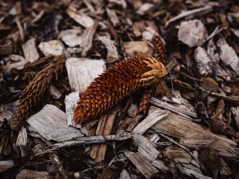 線上娛樂城遊戲