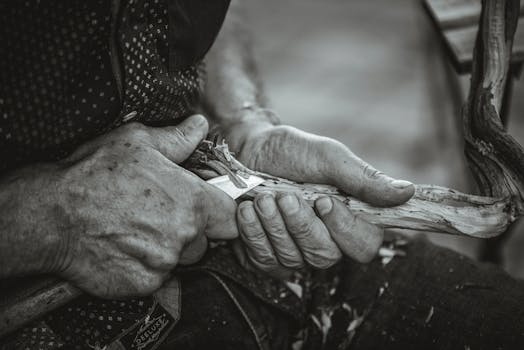 線上娛樂城遊戲