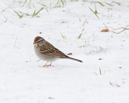線上娛樂城遊戲