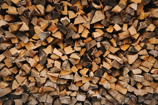 線上娛樂城遊戲