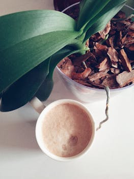 線上娛樂城遊戲