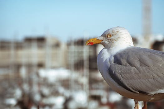 線上娛樂城遊戲