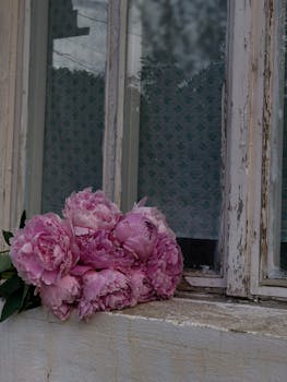 線上娛樂城遊戲