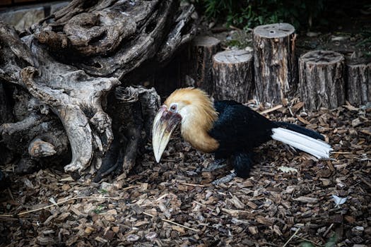 線上娛樂城遊戲