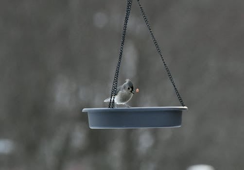 線上娛樂城遊戲