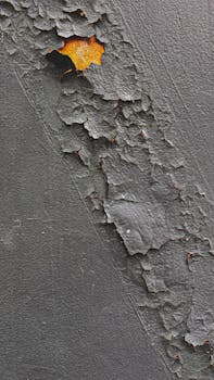 線上娛樂城遊戲