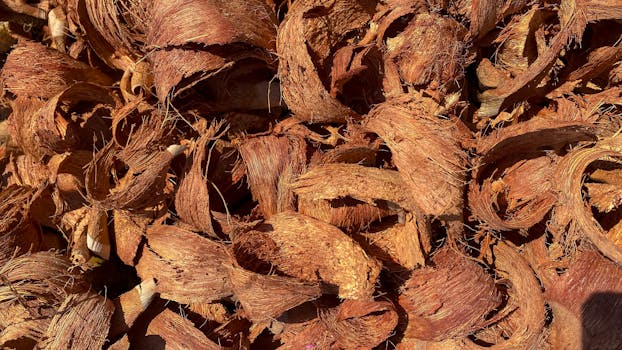 線上娛樂城遊戲