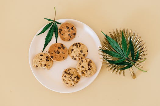 線上娛樂城遊戲