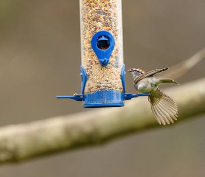 線上娛樂城遊戲