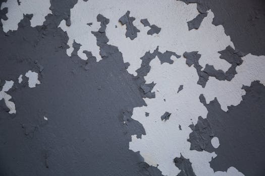 線上娛樂城遊戲