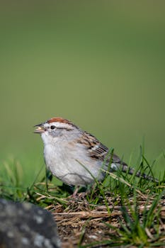 線上娛樂城遊戲