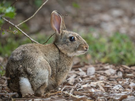 線上娛樂城遊戲