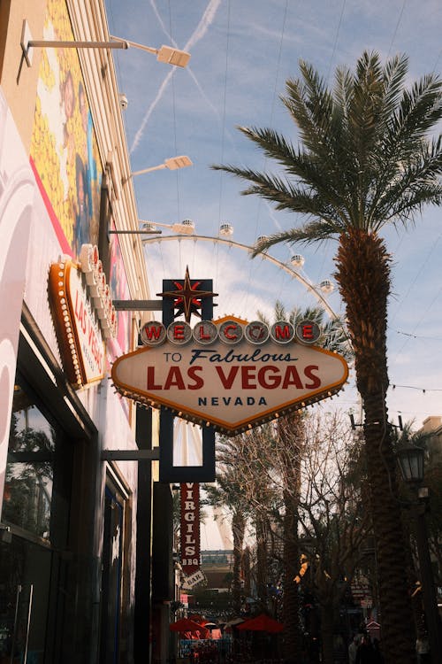 線上娛樂城遊戲