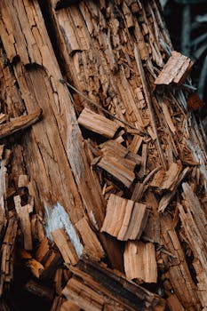 線上娛樂城遊戲