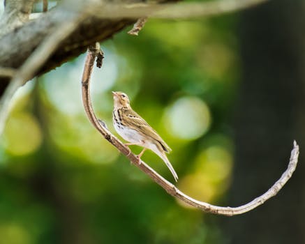 線上娛樂城遊戲
