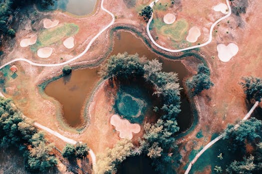 線上娛樂城遊戲