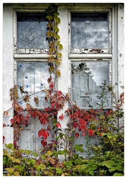 線上娛樂城遊戲