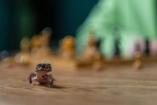 線上娛樂城遊戲