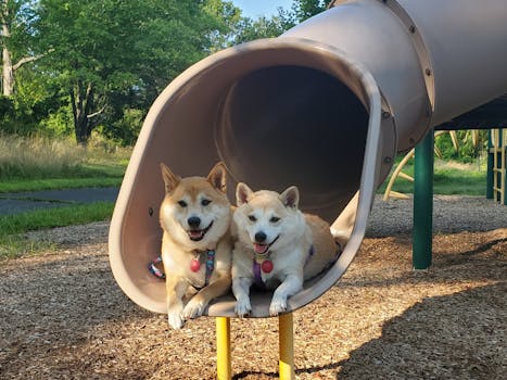 線上娛樂城遊戲