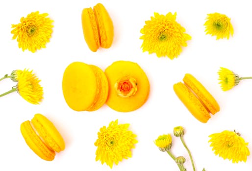 線上娛樂城遊戲