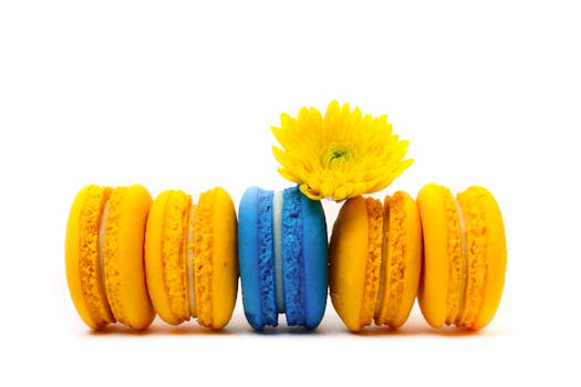 線上娛樂城遊戲