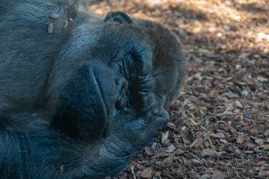線上娛樂城遊戲