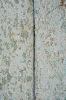 線上娛樂城遊戲