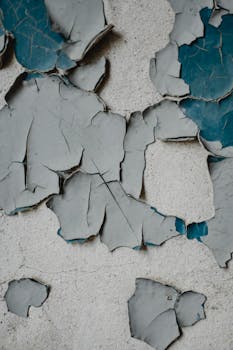 線上娛樂城遊戲