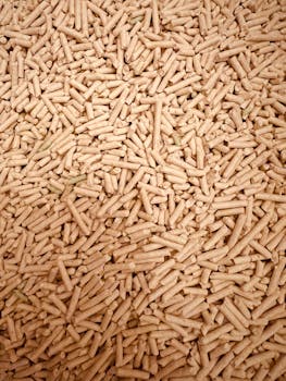 線上娛樂城遊戲