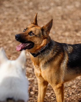線上娛樂城遊戲
