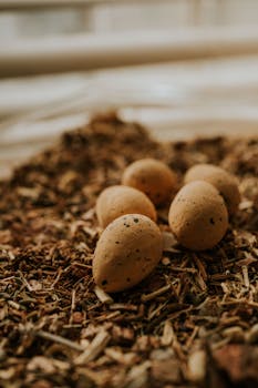 線上娛樂城遊戲