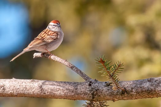 線上娛樂城遊戲