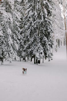 線上娛樂城遊戲