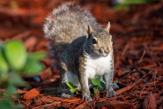 線上娛樂城遊戲