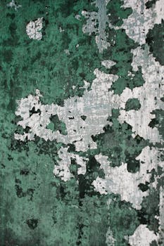 線上娛樂城遊戲