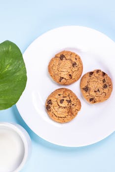 線上娛樂城遊戲