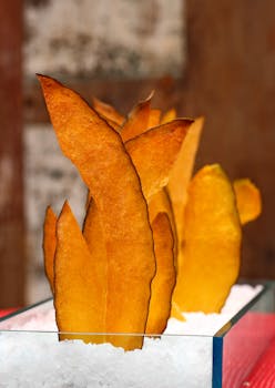 線上娛樂城遊戲