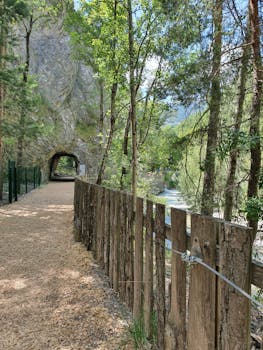 線上娛樂城遊戲