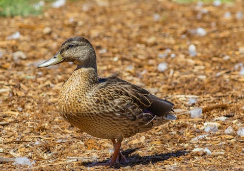 線上娛樂城遊戲