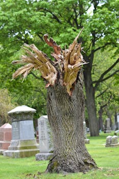 線上娛樂城遊戲