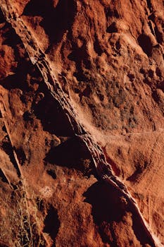 線上娛樂城遊戲