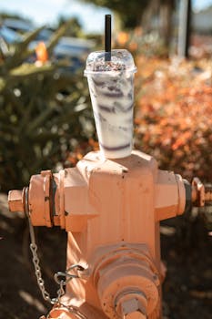 線上娛樂城遊戲